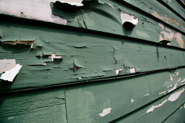 Best Dumpster Rental Services  in Comstock Park, MI
