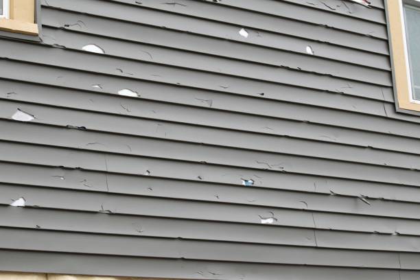 Best Construction Debris Removal  in Comstock Park, MI